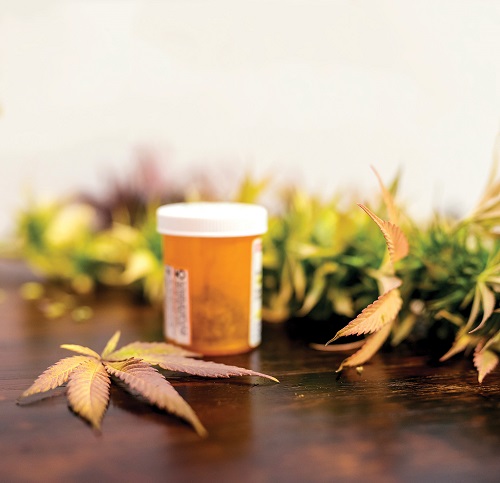Marijuana Marijuana